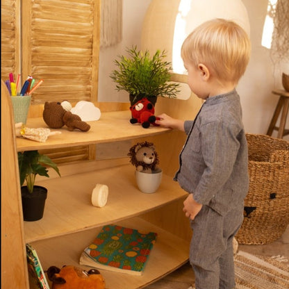 Montessori Wooden Toy Shelf-5